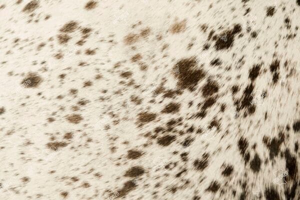 Original Cowhide Cushion for Decor by Hideorzo