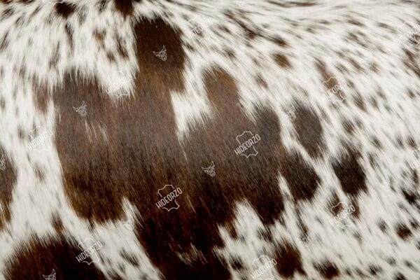 Original Cowhide Cushion for Decor by Hideorzo