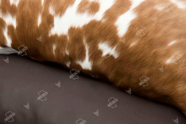 Original Cowhide Cushion for Décor by Hideorzo