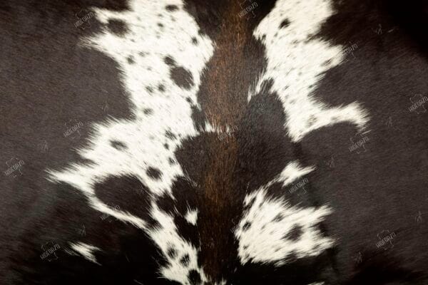 Original Cowhide Cushion for Décor by Hideorzo