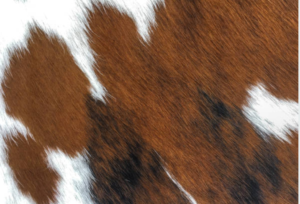 Hideorzo Cowhide Pattern