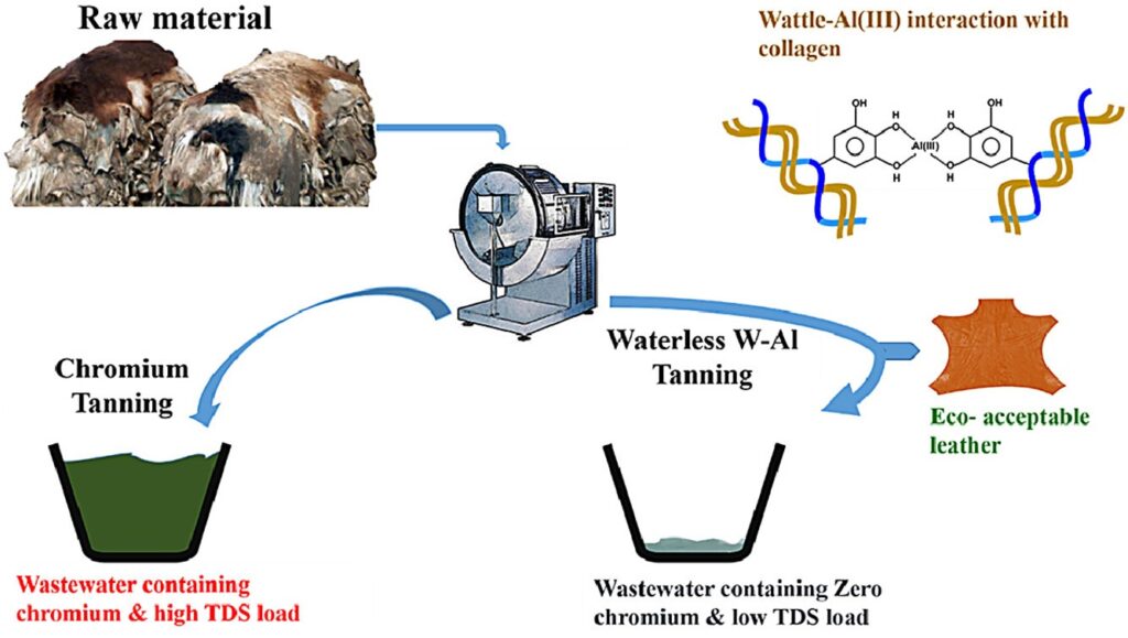 Hideorzo - Cowhide & Products Manufacturing Process Chrome Tanning Process at Hideorzo